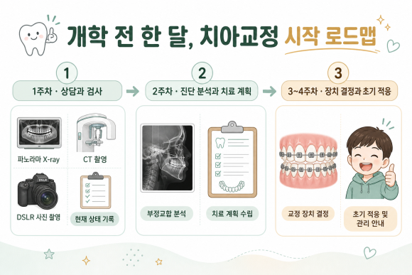 개학 전 한 달 치아교정 로드맵 인포그래픽