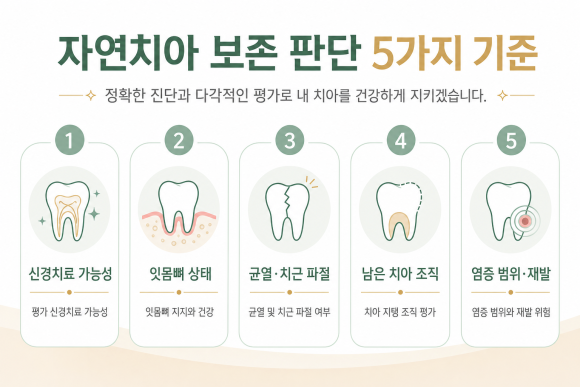 자연치아 보존 판단 5기준 인포그래픽